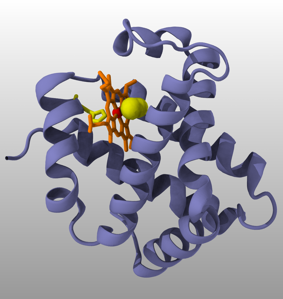 Hemoglobin protein with ligand